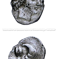 Didracma de prata com uma cabeça feminina e uma concha com uma cevada no reverso, 420-380 a.C.