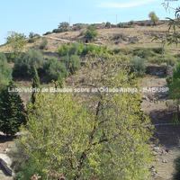 Colina Metapiccola vista a partir da colina San Mauro.