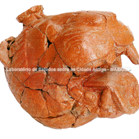 Recipiente de ungüento na forma de uma cabeça de leão, da tumba 330 do norte da necrópolis (580-560 a.C.). Fotografia: Francesco Alaimo.