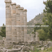 Templo de Atena. Colunas da peristasis. Foto: Aupert P. (CNRS).