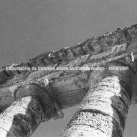Templo dórico. Colunas lisas e arquitrave em calcário. Último quarto do século V a.C.. (G. Viliare)