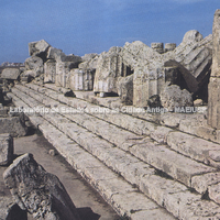 Lado longo meridional. Templo D. Nota-se a partir de baixo, o degrau da euthynteria, os três degraus do crepidoma e enfim a estilóbata sobre o qual ainda estão no local as primeiras rochas das colunas da perístase.