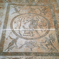Termas. Tepidarium: mosaico em branco e preto com Dioniso.