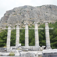 Vista do santuário de Atena Polias com a Telonéia ao fundo.