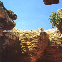 As pedreiras de El Haouaria na ponta do Cabo Bon. Localizada no litoral, a pedreira supriu a Cartago púnica e romana com blocos de arenito.