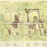 Mapa de Morgantina em época clássica e helenística, ocupando a área central entre as duas colinas e principalmente a colina do lado ocidental. Esta é a área que hoje se encontra aberta ao público para a visitação.
